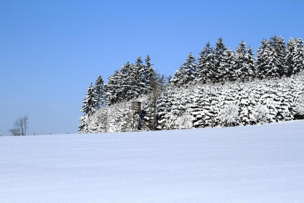 Hotel Schneider Winterberg Ngoại thất bức ảnh