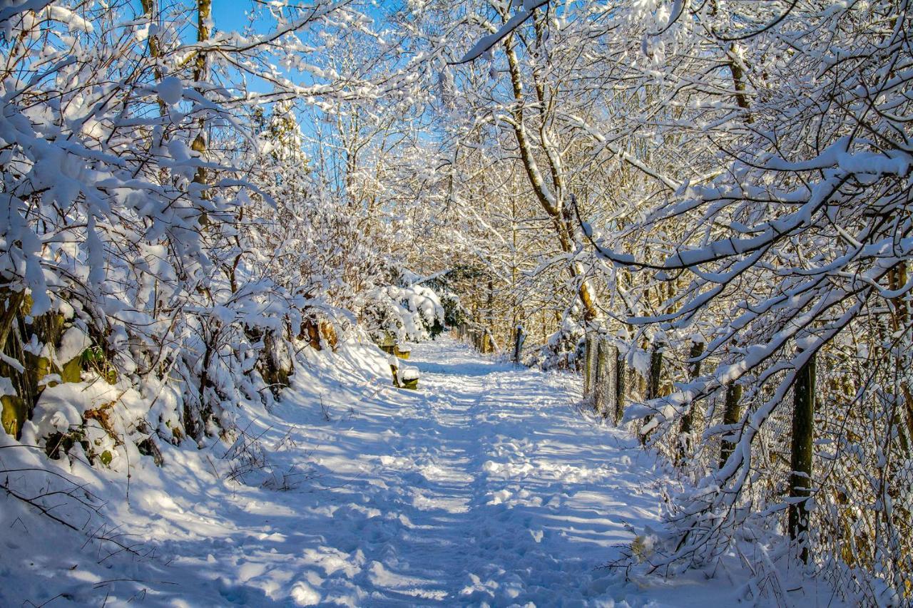 Hotel Schneider Winterberg Ngoại thất bức ảnh